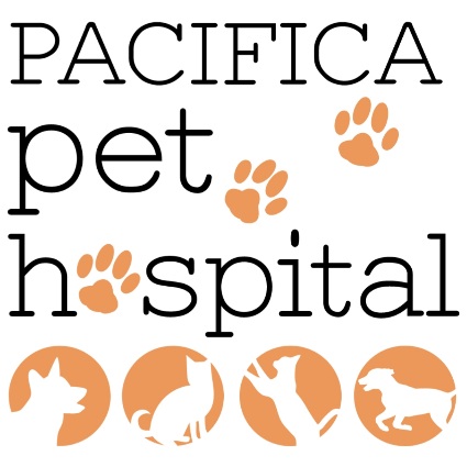 Pet hospital hot sale